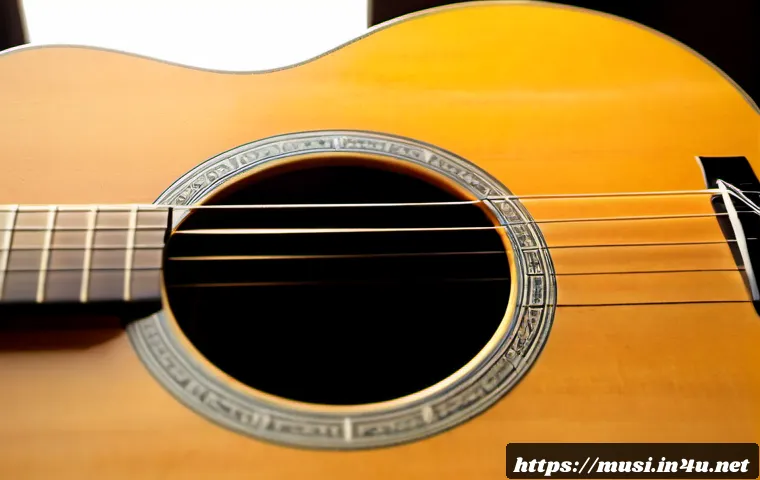 기타 소리 증폭 원리 - Photorealistic close-up of an acoustic guitar being played in a warm sunlit studio, detailed vibrati...